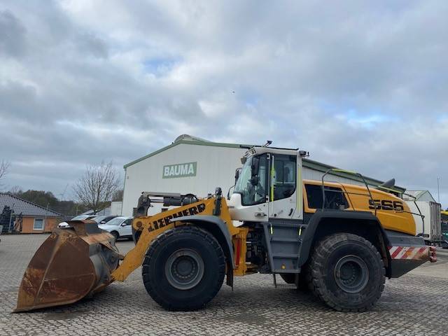 Liebherr L 566 XPower MIETE / RENTAL (12005192)