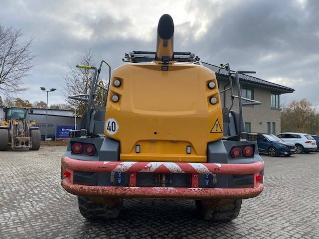 Liebherr L 566 XPower MIETE / RENTAL (12005192)